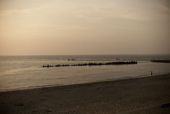 20110314-L1002494.jpg