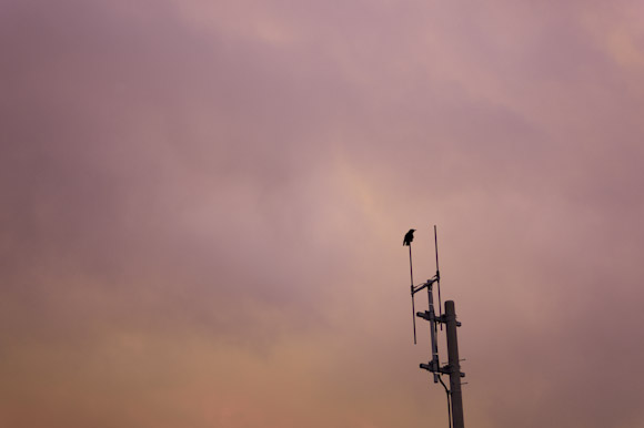 ももいろの空