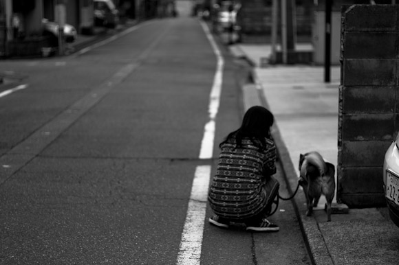 犬の散歩