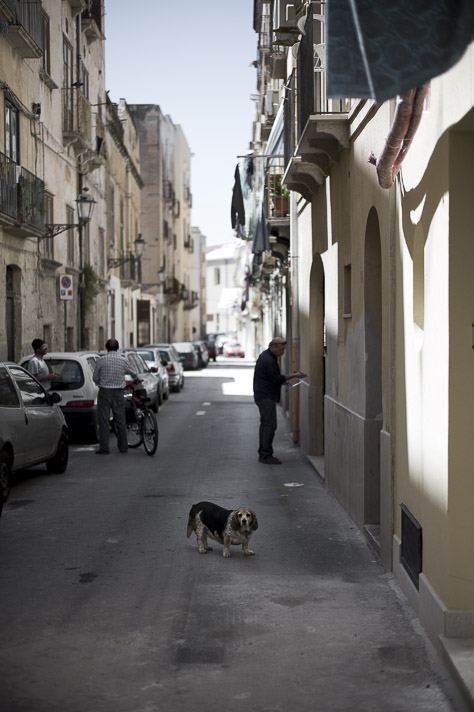 LEICA M9-P sicilia