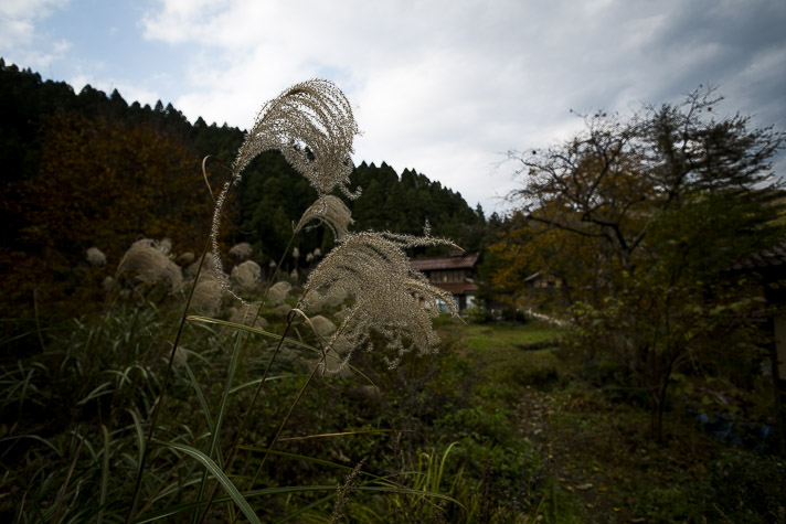 X-E1 / Zeiss 12mm