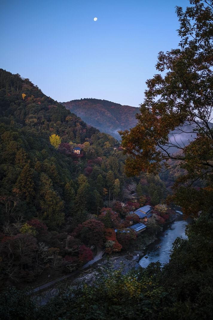 X100F 嵐山