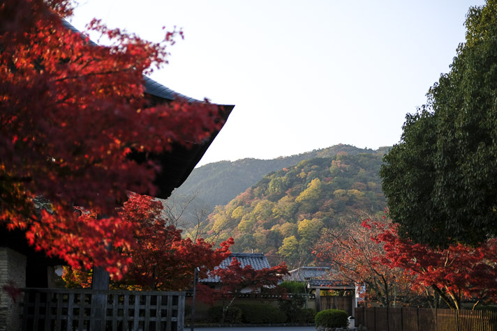 天龍寺　X100F