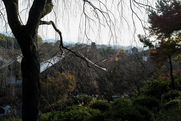 天龍寺　X100F