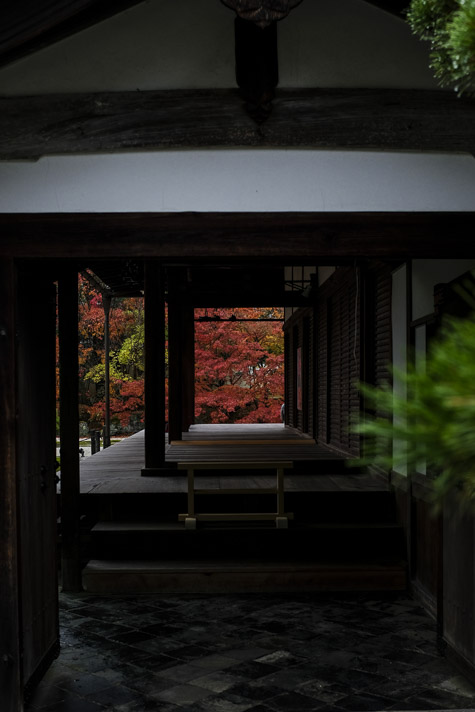 X100F 秋の京都