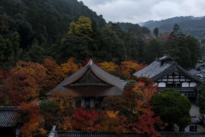 X100F 秋の京都